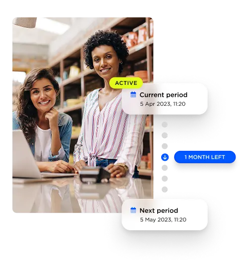 Information on a subscription plan with current period, next period and status